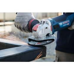 Bosch Accessories 2608619259 X-LOCK Schruppscheibe 125x6mm Expert for Metal gekröpft VE10 brusný kotouč lomený Průměr 125 mm Ø otvoru 22.23 mm 1 ks
