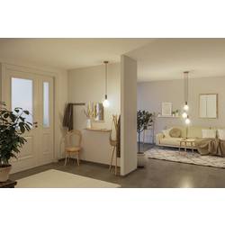 Paulmann 29079 LED Energetická třída (EEK2021) F (A - G) E27 Kulové svítidlo lampionové 4.3 W teplá bílá (Ø x v) 125 mm x 175 mm 1 ks