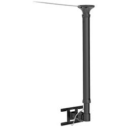 Neomounts FPMA-C100 stropní držák na monitor 1 Displej: (s) 25,4 cm (10) - 76,2 cm (30) černá nastavitelná výška, naklápěcí, nakláněcí, otočný