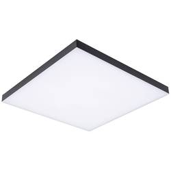 Paulmann Velora Rainbow 79908 LED stropní svítidlo teplá bílá černá