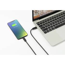 Renkforce Kabel USB-C USB 4.0 USB-C ® zástrčka, USB-C ® zástrčka 1.00 m černá dvoužilový stíněný RF-5241746