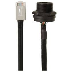TRU COMPONENTS TC-13543648, RJ45 konektor, černá, 1 ks