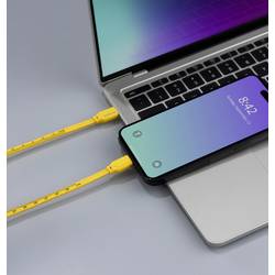 Renkforce USB kabel USB 2.0 USB-C ® zástrčka, USB-C ® zástrčka 1.00 m žlutá Rozměr potisku (metrický) RF-6721074