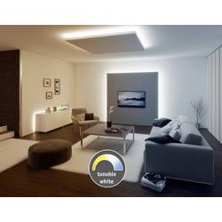 Paulmann MaxLED Tunable White 70630 LED pásek rozšíření konektor 24 V 1 m teplá bílá, neutrální bílá, denní bílá 1 ks