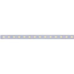 Paulmann MaxLED Tunable White 70630 LED pásek rozšíření konektor 24 V 1 m teplá bílá, neutrální bílá, denní bílá 1 ks