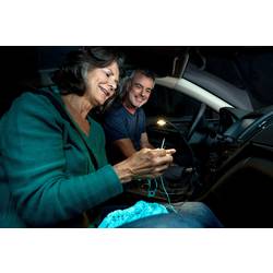 Osram Automotive lampa na čtení, Vnitřní LED osvětlení do auta ONYX-USB ONYX COPILOT® USB LED 5 V (d x š x v) 460 x 9 x 25 mm flexibilní krk, otáčitelné, lze