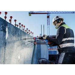 Bosch Accessories 2608901765 2608901765 sada příklepových vrtáků 12 mm SDS plus 1 ks