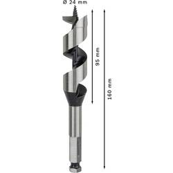 Bosch Accessories 2608585707 hadovitý vrták 24 mm Celková délka 160 mm šestihran 1 ks
