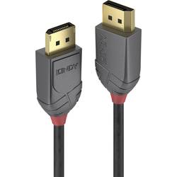 LINDY DisplayPort kabel 5.00 m černá