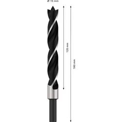 Bosch Accessories 2608596312 spirálový vrták do dřeva 15 mm Celková délka 160 mm válcová stopka 1 ks