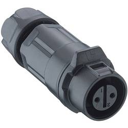 Lutronic 2340 02 T06 CB A kulatý konektor DIN, 1 ks