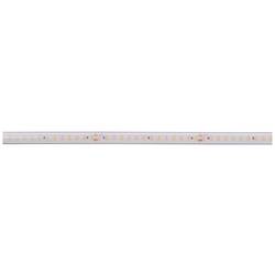 Deko Light Long Run 840404 LED pásek Energetická třída (EEK2021): F (A - G) volný konec 48 V 50 m teplá bílá 1 ks