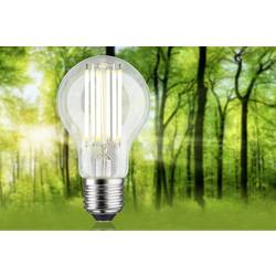 Paulmann 29222 LED Energetická třída (EEK2021) A (A - G) E27 7.2 W teplá bílá (Ø x v) 60 mm x 106 mm 1 ks