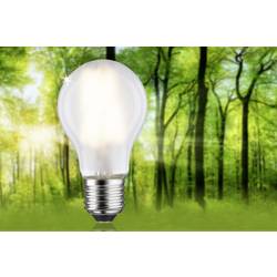 Paulmann 29225 LED Energetická třída (EEK2021) A (A - G) E27 klasická žárovka 5 W teplá bílá (Ø x v) 60 mm x 106 mm vlákno 1 ks