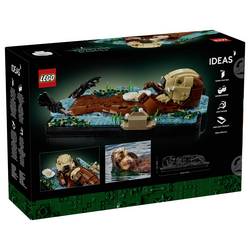 6589578 LEGO® IDEAS
