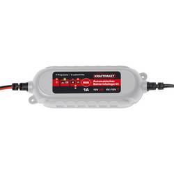 Dino KRAFTPAKET 136315 nabíječka autobaterie 12 V, 6 V 1 A 1 A