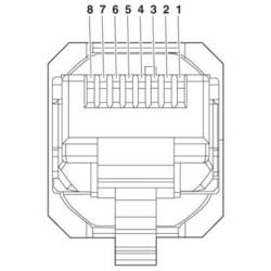 Phoenix Contact VS-08-RJ45-5-Q/IP20 BK Konektor RJ45 1658008 zástrčka, rovná Počet pólů 8 černá 1 ks