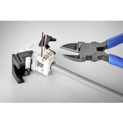 Renkforce RJ45 vestavný modul Keystone CAT 6 1 ks