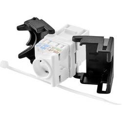 Renkforce RJ45 vestavný modul Keystone CAT 6 1 ks