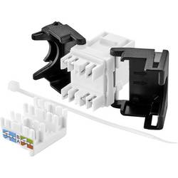 Renkforce RJ45 vestavný modul Keystone CAT 6 1 ks