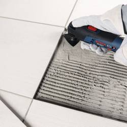 Bosch Accessories 2608669094 2608669094 Multifunkční pilový list 1 ks