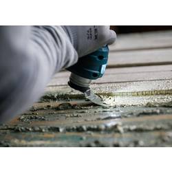 Bosch Accessories 2608669270 2608669270 Multifunkční pilový list 1 ks