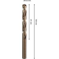 Bosch Accessories 2608577612 2608577612 kovový spirálový vrták 1 ks
