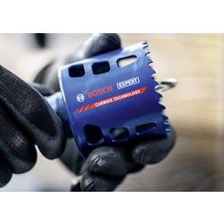 Bosch Accessories 2608901881 2608901881 vrtací korunka 25 mm 1 ks