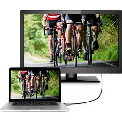 SpeaKa Professional DisplayPort kabel Konektor DisplayPort, Konektor DisplayPort 3.00 m černá SP-9510452 8K UHD Kabel DisplayPort