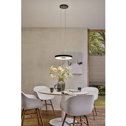 Paulmann Pane II 79517 LED závěsný lustr LED 22 W černá, šedá