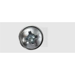 SWG 1030551925 šrouby do nástěnných štítků 5.5 mm 19 mm křížová drážka Philips ocel pozinkované 100 ks