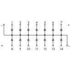 WAGO 289-111 Diodové hradlo, vhodné pro montáž na lištu 0.08 - 2.5 mm² Množství: 1 ks