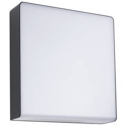 Paulmann Azalera 94840 venkovní nástěnné LED osvětlení LED 8.5 W antracitová