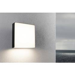 Paulmann Azalera 94840 venkovní nástěnné LED osvětlení LED 8.5 W antracitová