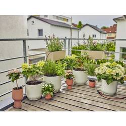 GARDENA Systém Micro-Drip 13401-20 Kompletní zavlažovací set 13 mm (1/2) Ø Zavlažování kapkami balkónu (15 rostlin)