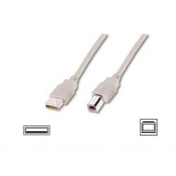 Digitus USB kabel USB 2.0 USB-A zástrčka, USB-B zástrčka 3.00 m béžová AK-300102-030-E