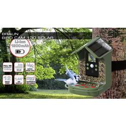 Braun Phototechnik Bird Cam 130 Solar Fotopast S dávkovačem krmiva zelená