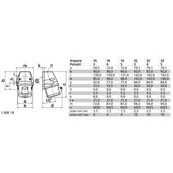 Bals Elektrotechnik 11895 11895 CEE zásuvka na stěnu, 16.0 A, 3pólový, 230 V, 1 ks