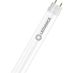 LEDVANCE LED trubice Energetická třída (EEK2021): C (A - G) G13 zářivka KVG, VVG 15.6 W = 36 W denní bílá (Ø x d) 26.7 mm x 1200 mm vč. ochrany proti třískám 1