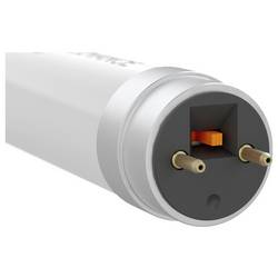 LEDVANCE LED trubice Energetická třída (EEK2021): C (A - G) G13 zářivka KVG, VVG 15.6 W = 36 W denní bílá (Ø x d) 26.7 mm x 1200 mm vč. ochrany proti třískám 1