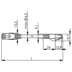 Telegärtner 100008749 RJ45 síťové kabely, propojovací kabely CAT 6A S/FTP 5.0 m černá S průchodkou chránící proti zlomení 1 ks