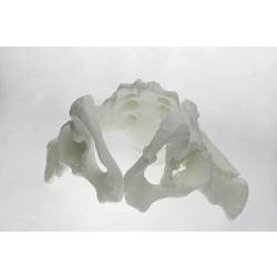 Polymaker PA06002 PolyMAX Tough vlákno pro 3D tiskárny PLA plast Vysoká tuhost, Vysoká pevnost v tahu, Nárazuvzdorný 1.75 mm 750 g bílá 1 ks