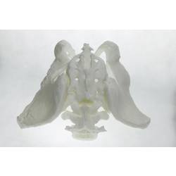 Polymaker PA06002 PolyMAX Tough vlákno pro 3D tiskárny PLA plast Vysoká tuhost, Vysoká pevnost v tahu, Nárazuvzdorný 1.75 mm 750 g bílá 1 ks