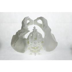 Polymaker PA06002 PolyMAX Tough vlákno pro 3D tiskárny PLA plast Vysoká tuhost, Vysoká pevnost v tahu, Nárazuvzdorný 1.75 mm 750 g bílá 1 ks