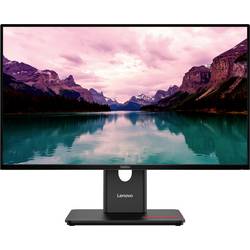 Lenovo ThinkVision T24-40 LED monitor 60.5 cm (23.8 palec)1920 x 1080 Pixel, 16:9, 6 ms, IPS LED