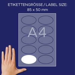 Avery-Zweckform J4882-20 štítek se jménem Kennzeichnungsetiketten (š x v) 85 mm x 50 mm 200 ks