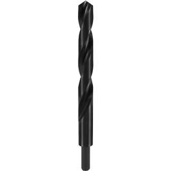 RUKO 200200 HSS-R kovový spirálový vrták 20 mm Celková délka 205 mm válcované za tepla DIN 338 válcová stopka 1 ks