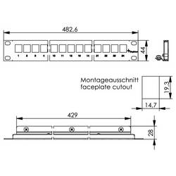 Telegärtner 100021498 19 neosazený modulární nosič 483 mm (19) 1 U černá