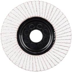 Rhodius 210475 LGA ALU vějířovitý brusný kotouč Průměr 125 mm Ø otvoru 22.23 mm Zrnitost 40 neželezné kovy 1 ks