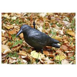 Swissinno raven, 1 582 001K, havran na ochranu proti holubům 1 ks, funkce: odstrašení